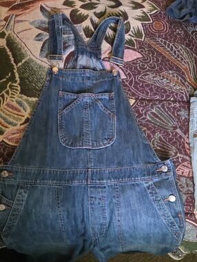 GAP Overalls